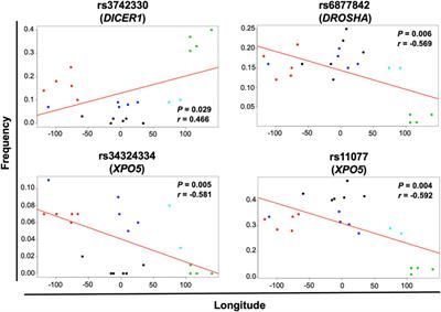 Single nucleotide variants in microRNA biosynthesis genes in Mexican individuals